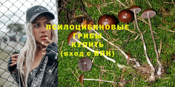 кристаллы Гусев